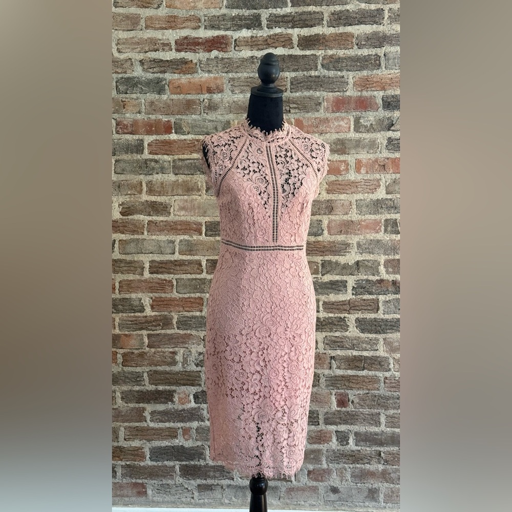 Bardot Blush Lace Cocktail Dress High Neck Midi Dress Size 6